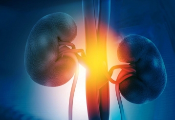 Kidney Transplants Safe When Donor, Recipient Both HIV-Positive