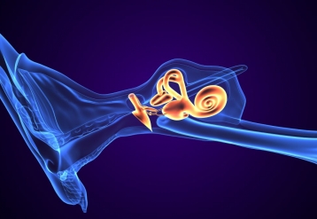 Stereotactic Radiosurgery Safe for Koos Grade I Vestibular Schwannomas