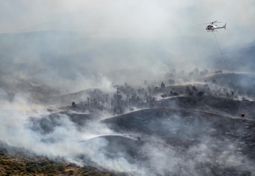 Exposição à fumaça de incêndios florestais associada ao risco de demência