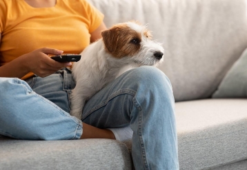Werkstress voelen? Uw hond kan het misschien ook voelen