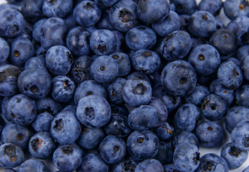 Frozen Blueberry Recall Issued Across Four States for Listeria