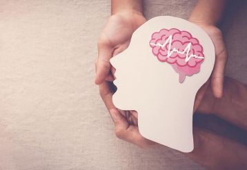 How the Brain Learns to Have Seizures During Sleep