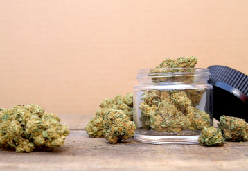 Don't Forget This: Study Shows Cannabis Exacts a Toll on Your Memory