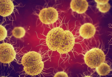 Noul Cervix-On-A-Chip poate revoluționa tratamentul ITS