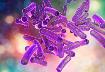 CDC: Proportion of Extensively Drug-Resistant Shigella Isolates Increasing