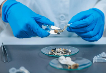 Trump respalda la investigación psicodélica