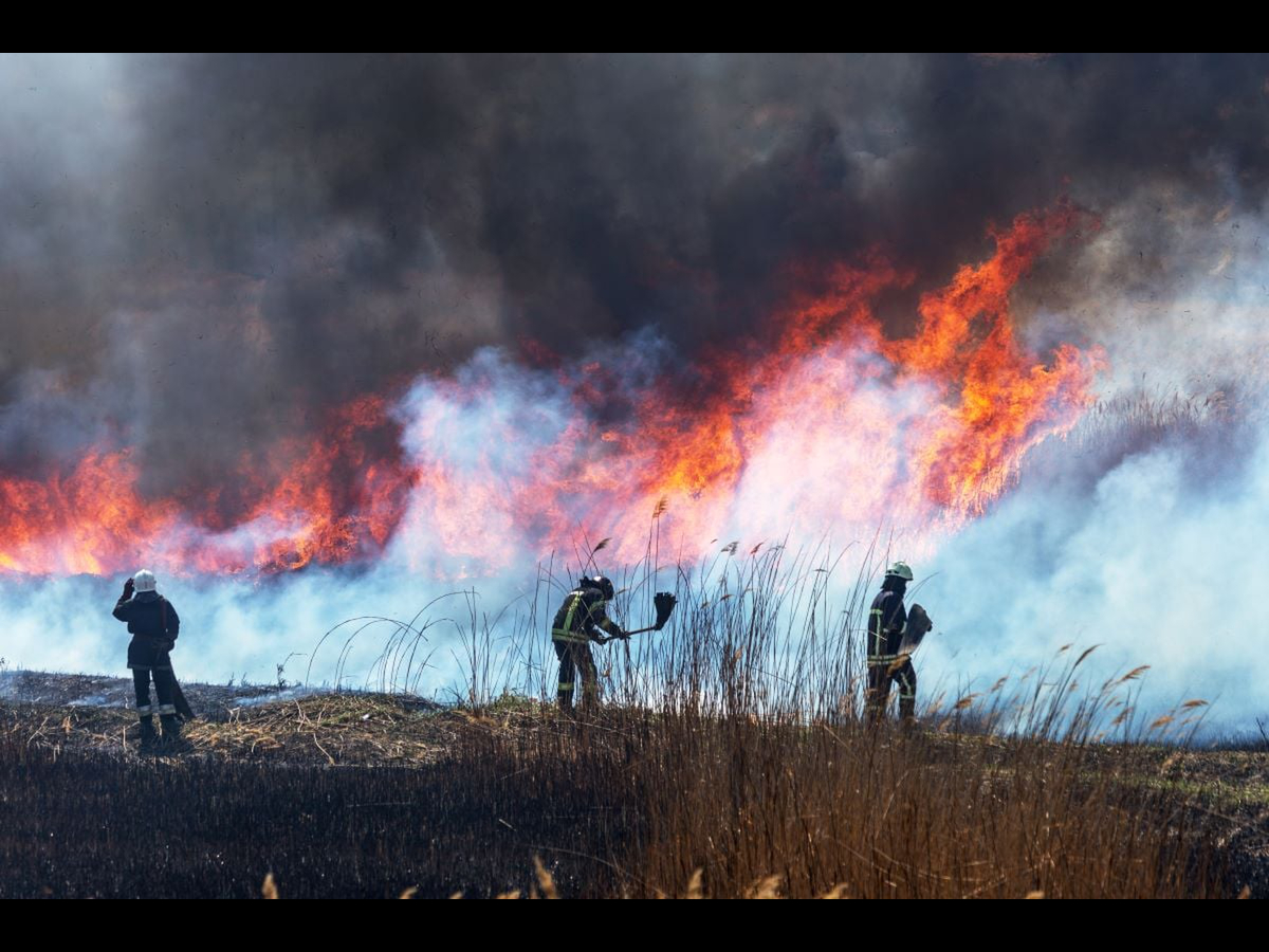 Los Incendios Forestales Están Creando Condiciones De Aire Peligrosas ...