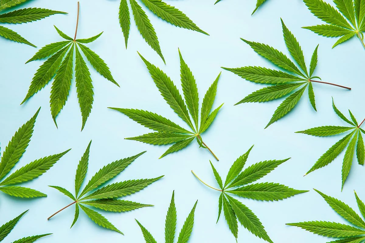 Mensen met eetstoornissen melden succes zelfmediceren met niet-RX-medicijnen